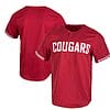 Custom Washington State Cougars Baseball Jersey Name and Number College Red