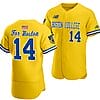 Vince Cimini Jersey Boston College Eagles Baseball Boston Strong 10th Anniversary Gold #14