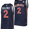 Aden Holloway Jersey #2 Auburn Tigers College Basketball Navy