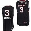 Ashlyn Watkins Jersey #3 South Carolina Gamecocks Jersey College Basketball Black