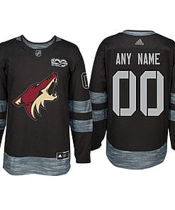 Custom Arizona Coyotes Jersey Name And Number 1917-2017 Black 100th Anniversary NHL