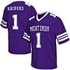 Custom Mount Union Raiders Jersey Name and Number NCAA College Football Purple