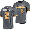 Jorel Ortega Jersey #2 Tennessee Volunteers College Baseball Grey