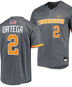 Jorel Ortega Jersey #2 Tennessee Volunteers College Baseball Grey