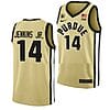 David Jenkins Jr Jersey #14 Purdue Boilermakers College Basketball Jerseys Gold