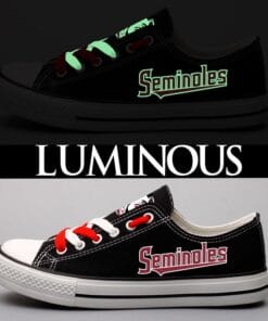 Florida State Seminoles Sport Sneakers Shoes For Men Women Fans