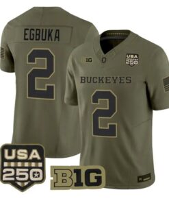 Emeka Egbuka Jersey #2 Ohio State Buckeyes 2026 Salute to Service Stitched Olive
